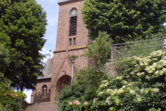 DSC00534