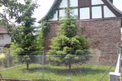 DSC00540