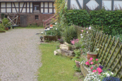 DSC00544