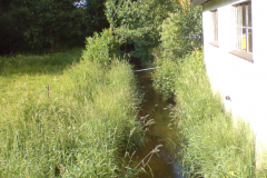 DSC00552