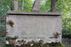 IMG_20210804_175135_7