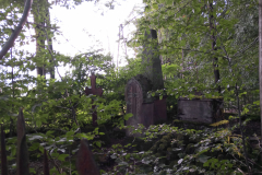 IMG_20210804_175550_1