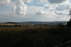 IMG_20210804_175635_6