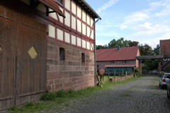 IMG_20210804_181401_9