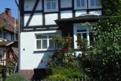 RIMG0847