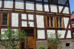RIMG0856