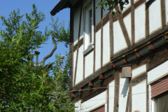RIMG0867