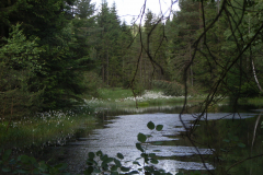 RIMG0873