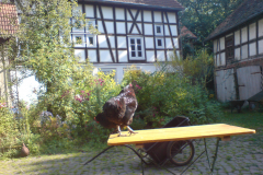 dsc01240