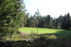 franzosenwiesen