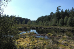 nsg_franzosenwiesen