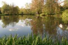 teich