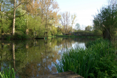 teich2